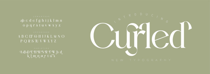 Curled Elegant Font Uppercase Lowercase and Number. Classic Lettering Minimal Fashion Designs. Typography modern serif fonts regular decorative vintage concept. vector illustration

