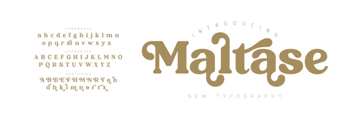 Maltase Elegant Font Uppercase Lowercase and Number. Classic Lettering Minimal Fashion Designs. Typography modern serif fonts regular decorative vintage concept. vector illustration


