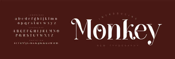 Monkey Elegant Font Uppercase Lowercase and Number. Classic Lettering Minimal Fashion Designs. Typography modern serif fonts regular decorative vintage concept. vector illustration

