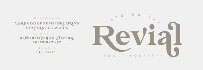 Revial Elegant Font Uppercase Lowercase and Number. Classic Lettering Minimal Fashion Designs. Typography modern serif fonts regular decorative vintage concept. vector illustration

