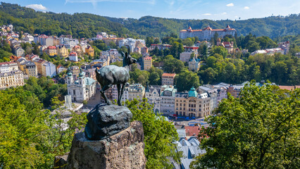 Chamois overlooking Karlovy Vary, Czech republic © dudlajzov