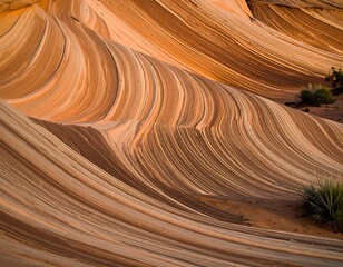 Wavey sandstone formations