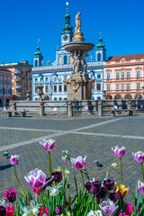 The Main Square Ceske Budejovice