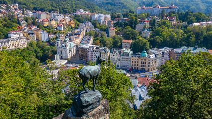 Chamois overlooking Karlovy Vary, Czech republic © dudlajzov