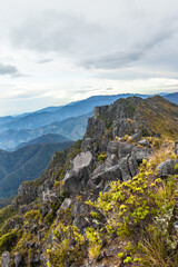 A vertical shot of the rocky outcrop and paramo from the summit of Cerro Urán on a cold morning in Chirripo National Park, Costa Rica. © Saintdags