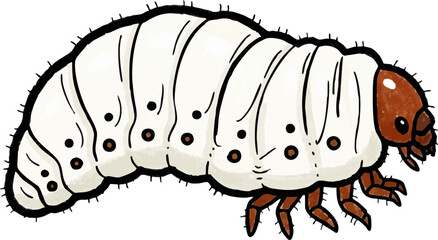 A Chubby, White Larva of a Hercules Beetle