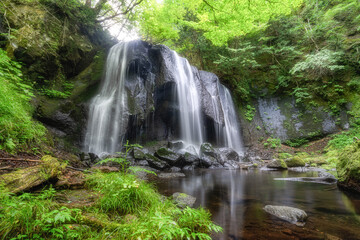 新緑の達沢不動滝
