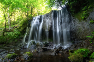 Fototapeta premium 新緑の達沢不動滝 