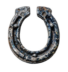 Metal horseshoe.