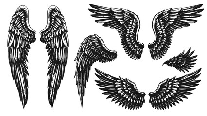 Obraz premium Dramatic angel wings in various styles, perfect for adding a celestial or fantasy touch to your designs