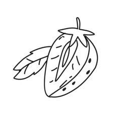 hand drawn strawberries