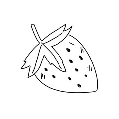 hand drawn strawberries