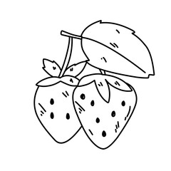 hand drawn strawberries