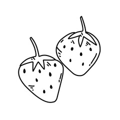 hand drawn strawberries
