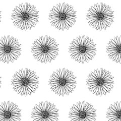 Obraz premium Alpine Aster or Aster alpinus flower Seamless Pattern Hand drawn vector line art, Black and White Flower isolated in white. Beautiful design for textile, wallpaper, wrapping paper