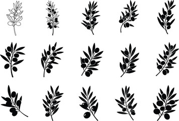 Olive branch vector set, black and white botanical illustration, Mediterranean plant symbol, decorative silhouette, nature element, vintage engraving style, peace and harmony design