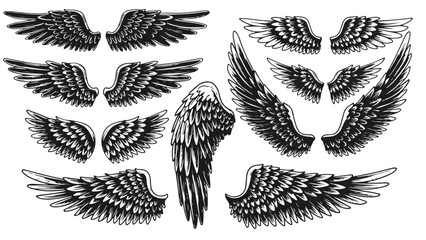 Angel wing collection for your design, perfect for tattoos, logos, or fantasy art projects needing a touch of magic