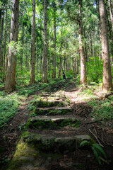 新緑の小野川不動滝
