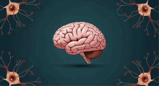 Health, medicine and nursing vector  human brain anatomy illustration with neurons for medical education and neuroscience research study guide