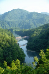 新緑の只見川の朝
