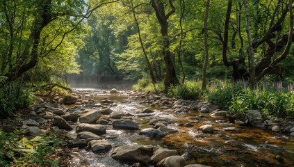 stream in the forest