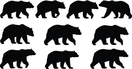 Black bear walking silhouette set showing nine different poses in motion cycle, wildlife animal vector illustration for nature, biology, animation projects