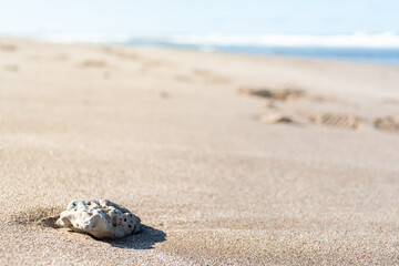 Selective focus on a rock on the seashore on a sunny day.