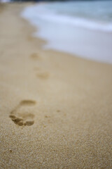 Footprints in the sand on the beach