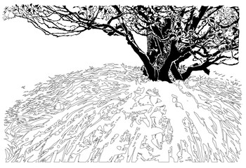 Fototapeta premium tree & shadow