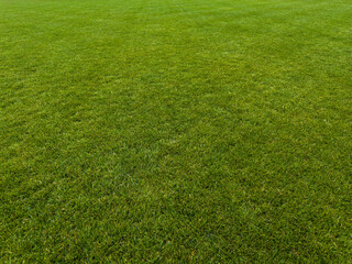 Wide view of green football pitch grass, natural sports field lawn background without markings, ideal for soccer stadium turf, training ground, outdoor sports and design concepts © Anatolii