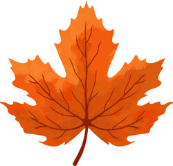 Watercolor Maple Leaf Illustration. Perfect for autumn, fall season, nature design, botanical elements, invitations, greeting cards, posters, packaging, and seasonal decorations.