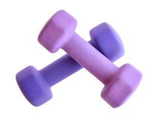 Plush dumbbells isolated on white background. 3d best design element.