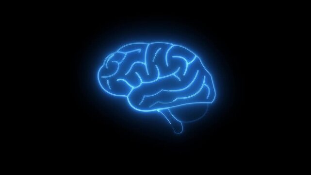 Low poly wireframe brain with connection dots glowing on black background. Continuous.brain with connection dots glowing.Brian contours. Glowing blue brain contours on black background.4k video