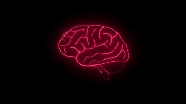 Low poly wireframe brain with connection dots glowing on black background. Continuous.brain with connection dots glowing.Brian contours. Glowing blue brain contours on black background.4k video