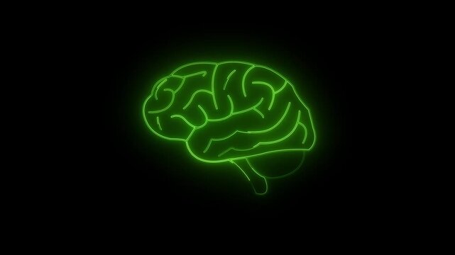 Low poly wireframe brain with connection dots glowing on black background. Continuous.brain with connection dots glowing.Brian contours. Glowing blue brain contours on black background.4k video