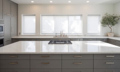 Modern kitchen with large island