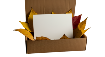 Autumn memories nestled in cardboard a blank canvas for reflection on days gone by with soft studio