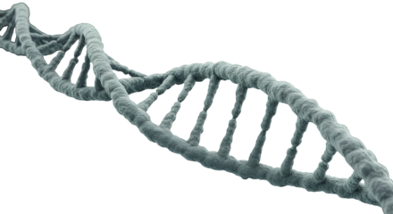 Exploring the blueprint of life a textured silver DNA double helix on stark black showcasing genetic