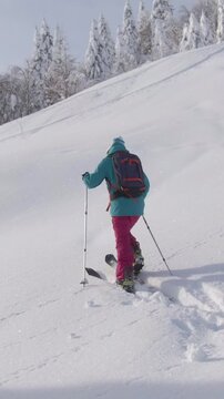 DRONE Fit Caucasian woman observes the beautiful snow covered nature while crossing the wintry landscape during ski touring trip to Bohinj. Active female tourist hikes along a hill while splitboarding