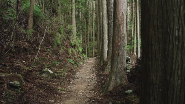 Kumano Kodo Nakahechi: From Osakamoto Oji Ruins to Chikatsuyu, Tanabe City, Wakayama　世界遺産 熊野古道・中辺路「大坂本王子(おおさかもとおうじ)跡から近露へ」和歌山県田辺市中辺路町