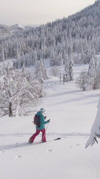 DRONE: Flying around an active young woman on splitboarding trip in the Julian Alps crossing the picturesque snowy meadow. Fit female tourist explores the ungroomed hills during a ski touring trip.