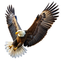Obraz premium Majestic bald eagle in mid flight with wings spread wide showcasing its powerful talons and keen eyes isolated on transparent background