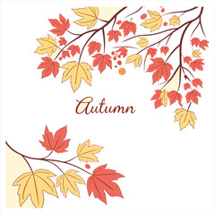 autumn leaves background