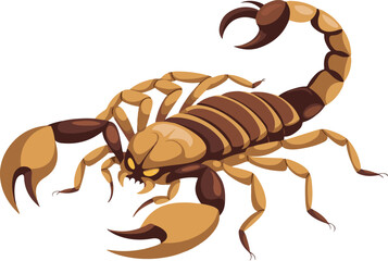 scorpion vector illustration