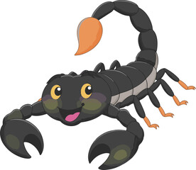 scorpion isolated on white background