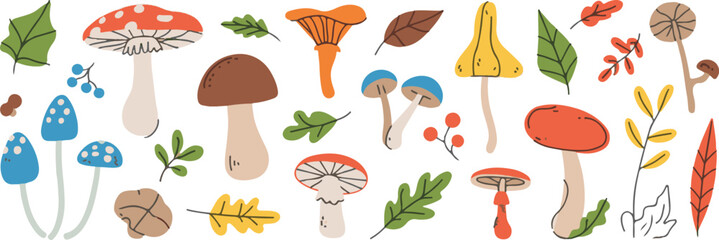 set of autumn leaves © Khairun