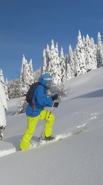 SLOW MOTION, CLOSE UP: Active male tourist ski touring in the gorgeous Julian Alps hikes up a snowy hill. Young man on splitboarding trip treks across a snow covered meadow on a sunny winter day.