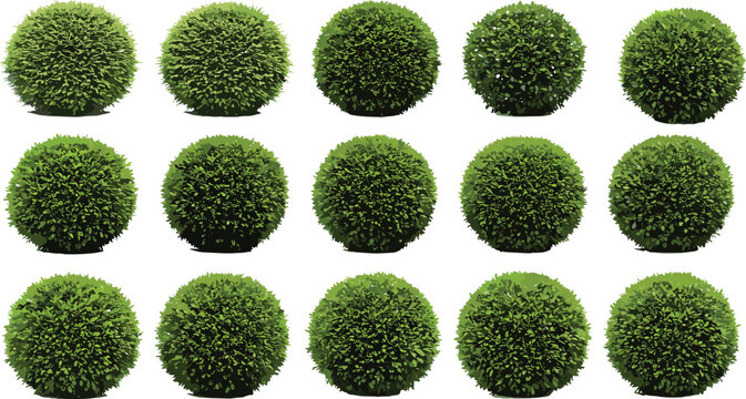 Set of realistic green spherical bush vector illustrations, isolated topiary plants, landscaping design elements, garden shrub decorative clipart