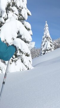 SLOW MOTION, COPY SPACE: Female tourist explores idyllic wintry mountain landscape during ski touring adventure. Fit young woman on splitboarding trip in Julian Alps hikes up powder covered slope.