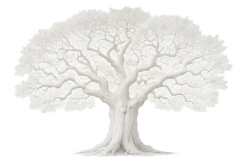 Delicate white tree spreading intricate branches skyward, silhouetted against transparent backdrop, revealing elegant natural structure
